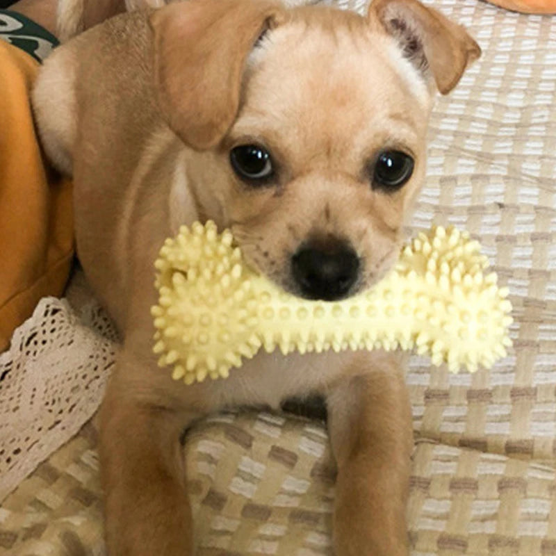 TPR Knot Dog Chew Toy – Bite-Resistant Teeth Cleaning for Small Dogs