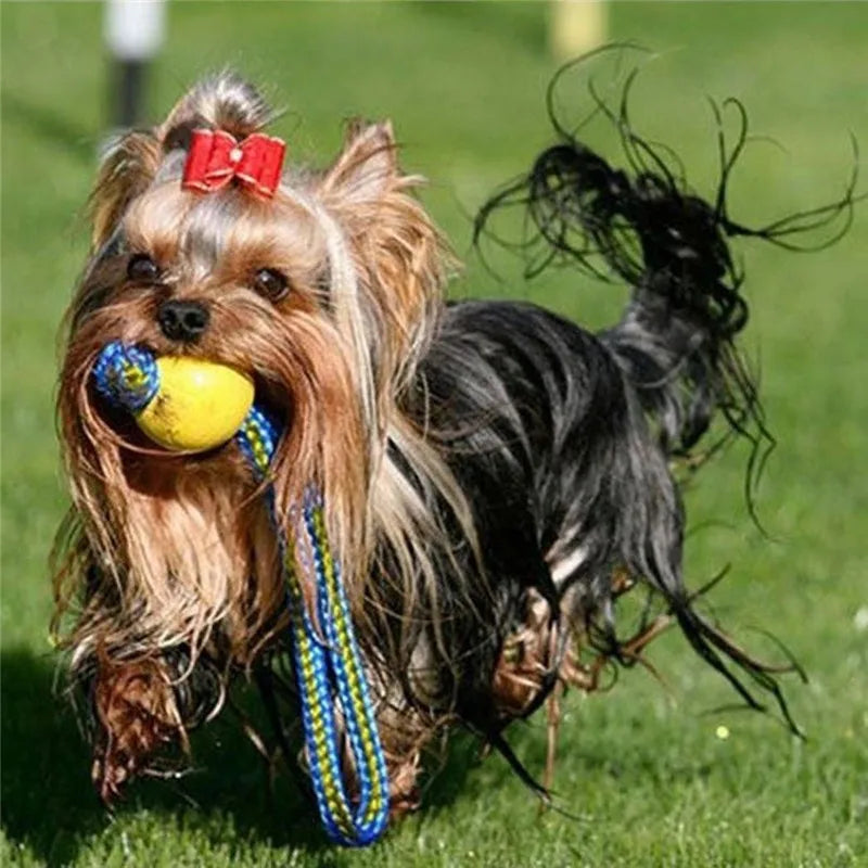 Indestructible Rubber Dog Ball – Chew & Fetch Toy with Rope