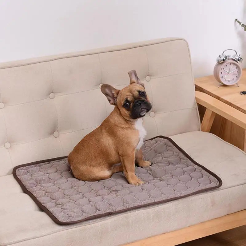 Cooling Dog & Cat Mat – Breathable Summer Pet Bed