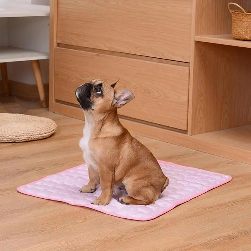 Cooling Dog & Cat Mat – Breathable Summer Pet Bed