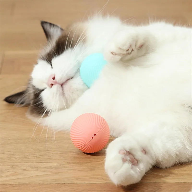 Smart Electronic Dog & Cat Toy Ball – Automatic Moving & Bouncing