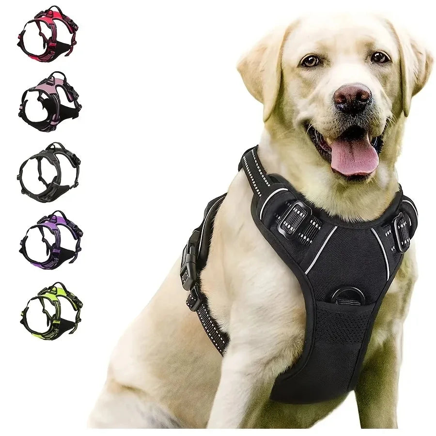 Dog Collar & Harness Set