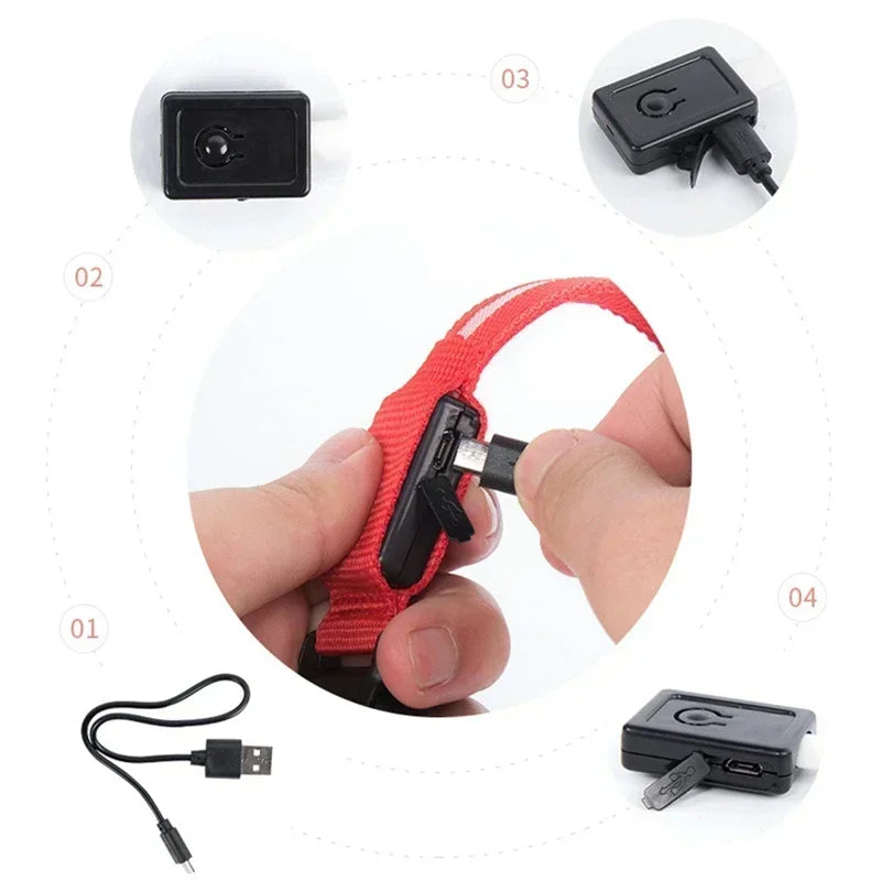 LED Glowing Dog Collar – Adjustable Flashing Night Safety