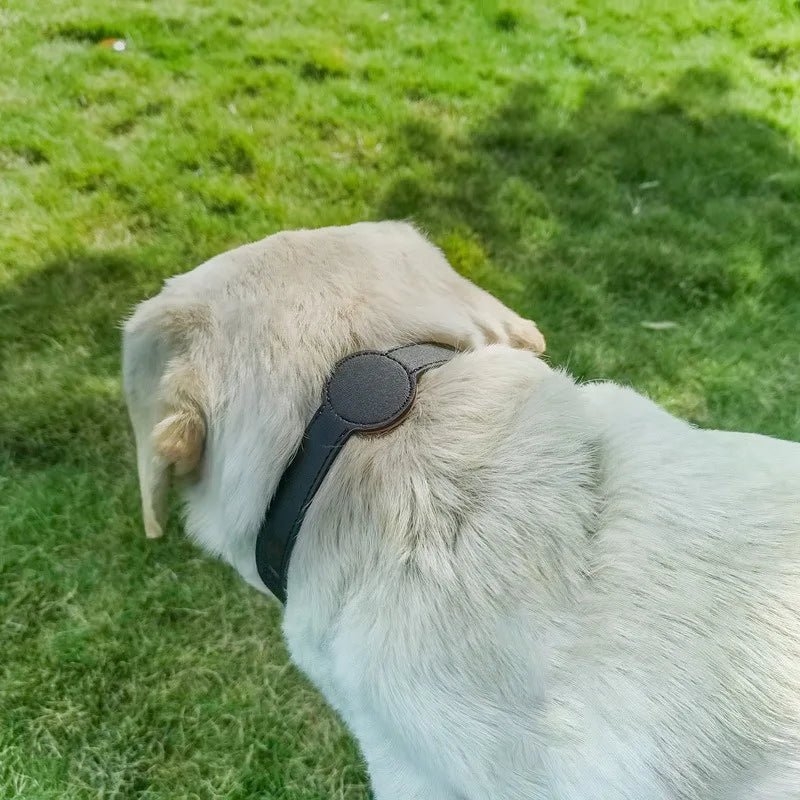 Airtag Silicone Pet Collar – Waterproof Anti-Lost Tracker Holder