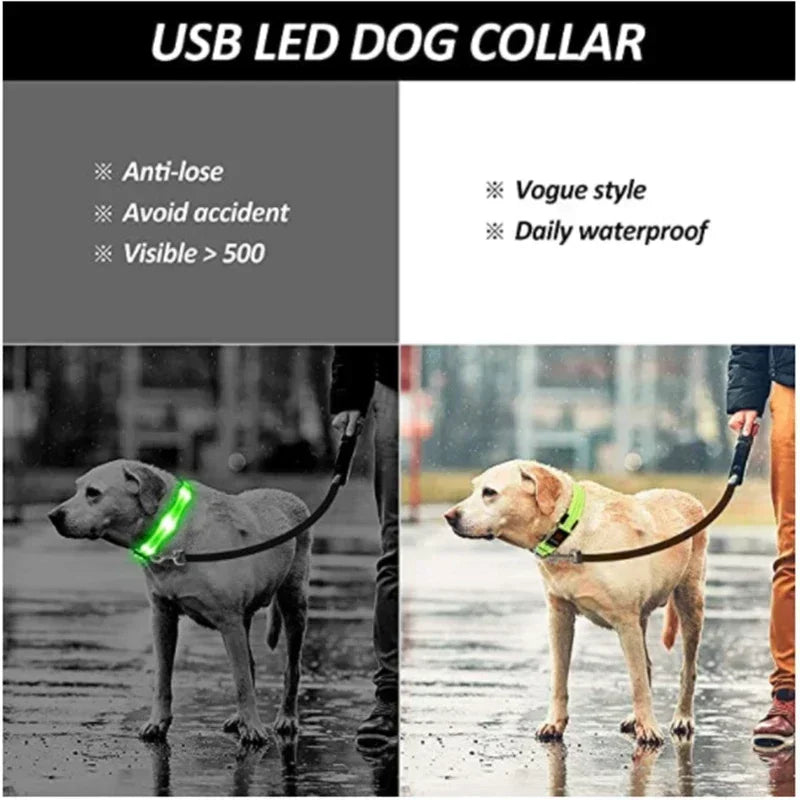 LED Glowing Dog Collar – Adjustable Flashing Night Safety