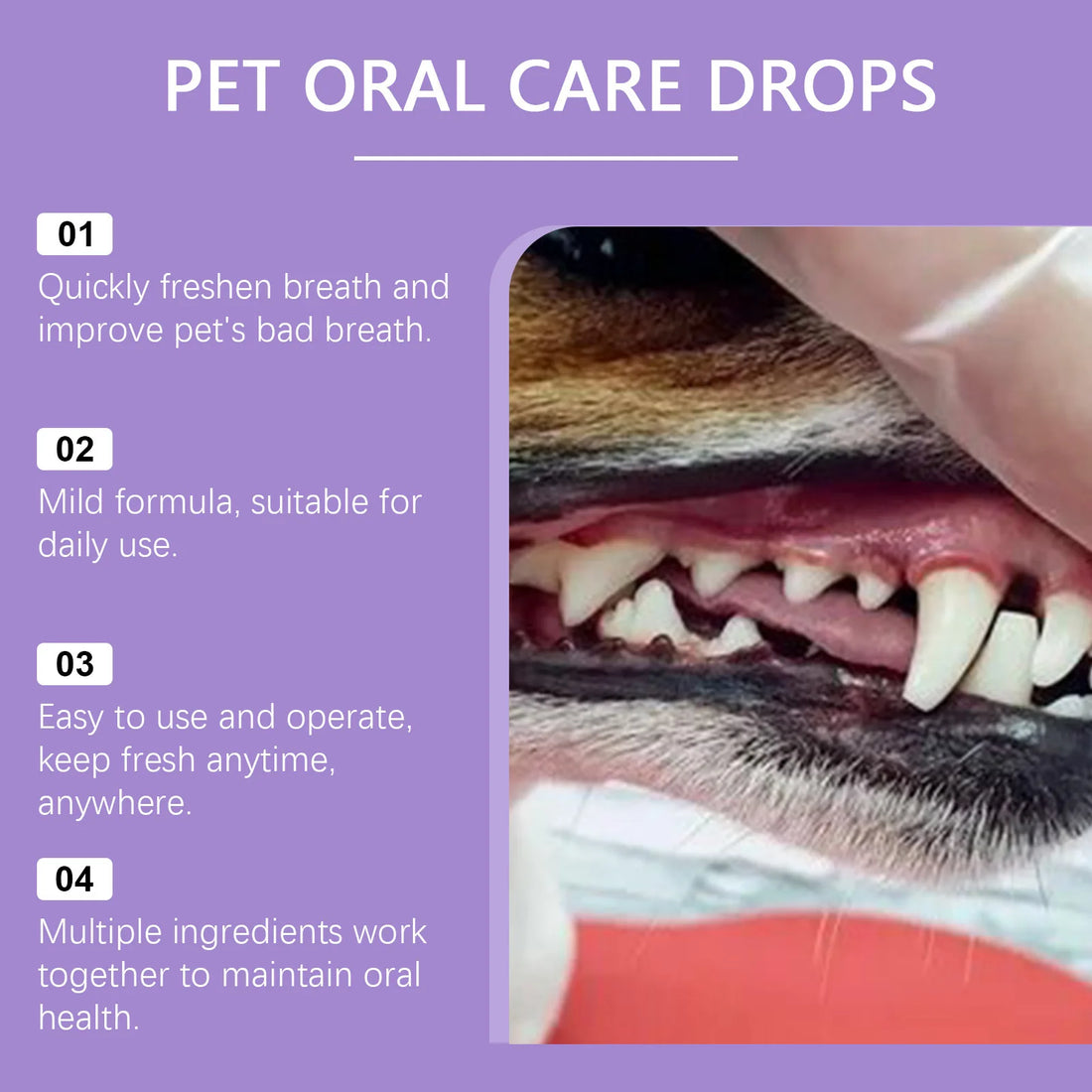 Pet Oral Cleaning Spray – 50ml Teeth Cleaner for Dogs & Cats