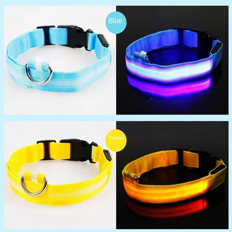 LED Glowing Dog Collar – Adjustable Flashing Night Safety