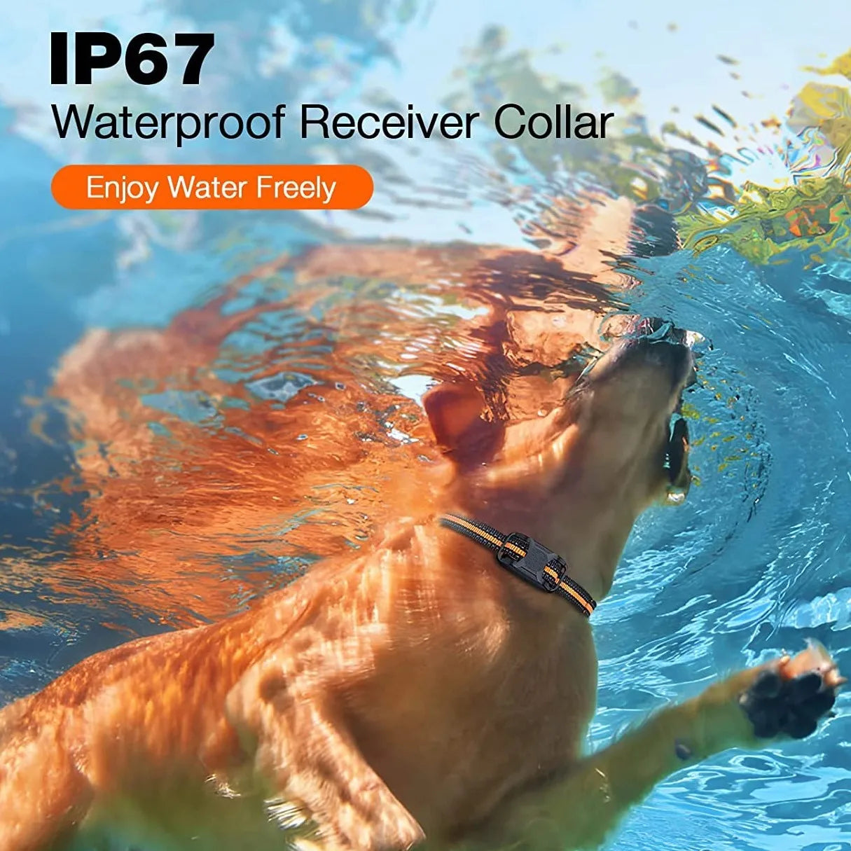 1000M Remote Dog Training Collar