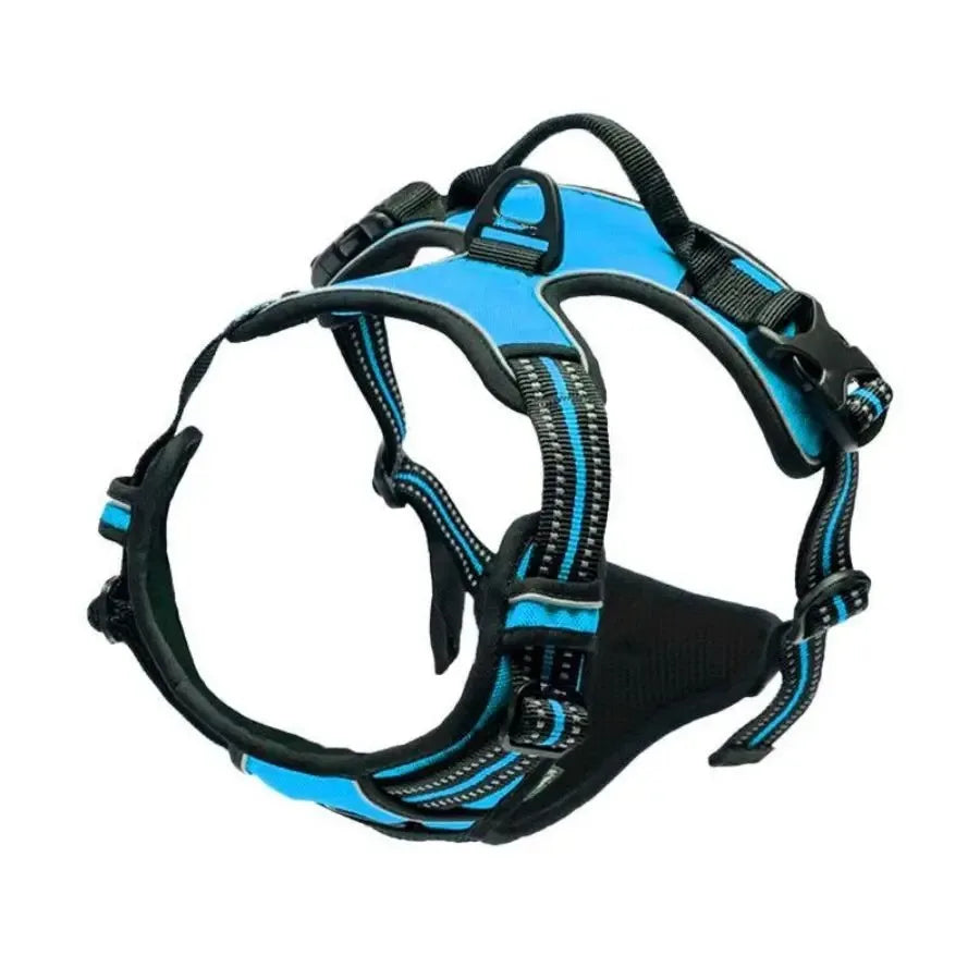 Dog Collar & Harness Set