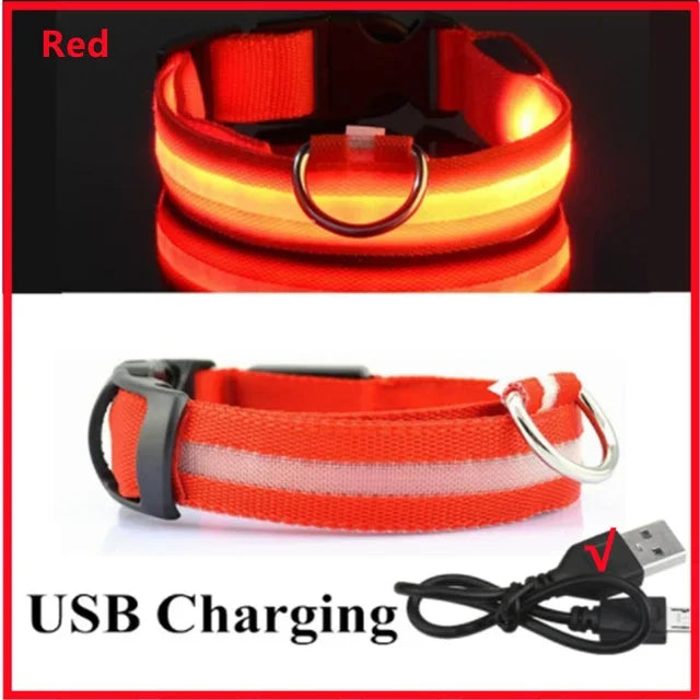 LED Glowing Dog Collar – Adjustable Flashing Night Safety
