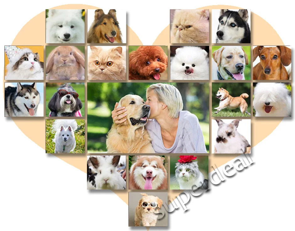 Professional All-Metal Pet Hair Clipper – Rechargeable & Low Noise