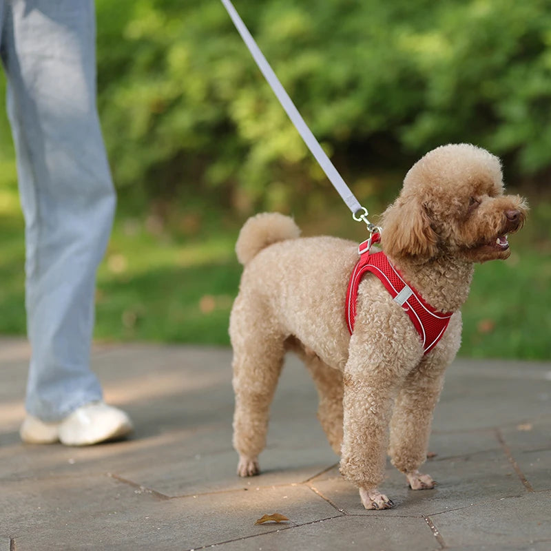 Dog Harness & Leash Set – Adjustable Vest for Small Dogs & Cats