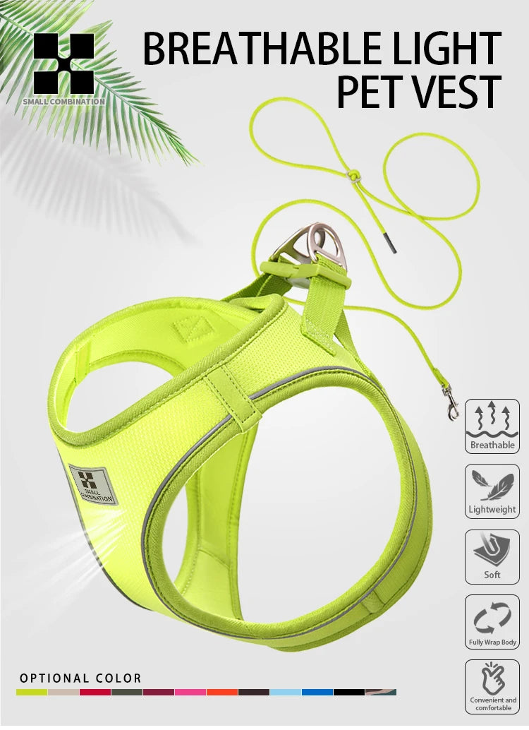 Reflective Dog Harness & Leash Set