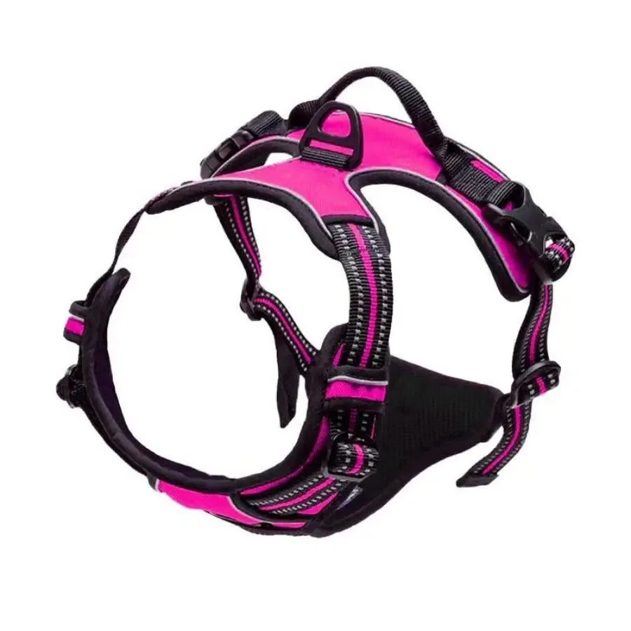Dog Collar & Harness Set