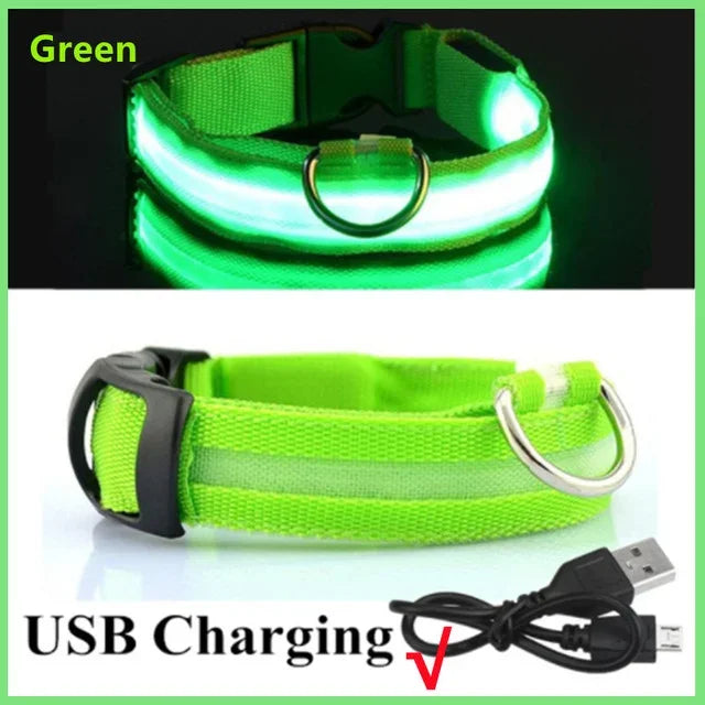 LED Glowing Dog Collar – Rechargeable Flashing Night Safety