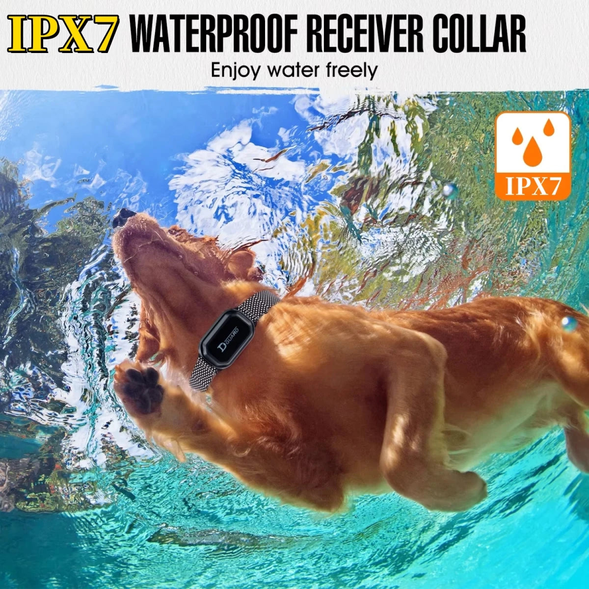 800m Digital Dog Training Collar – Waterproof Remote with LCD