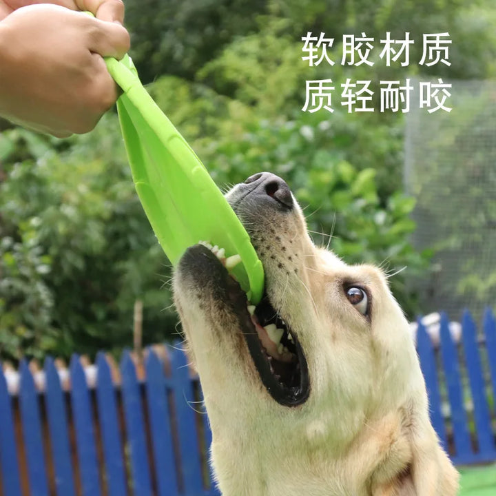 OUZEY Bite-Resistant Flying Disc – Interactive Dog Toy