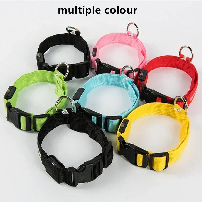 LED Glowing Dog Collar – Rechargeable Flashing Night Safety