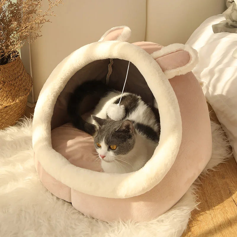 Deep Sleep Cartoon Pet Bed – Foldable Washable Cat & Small Dog Mat