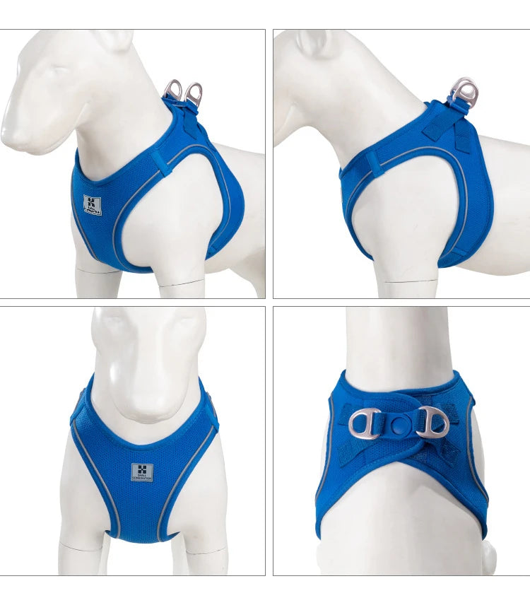 Reflective Dog Harness & Leash Set