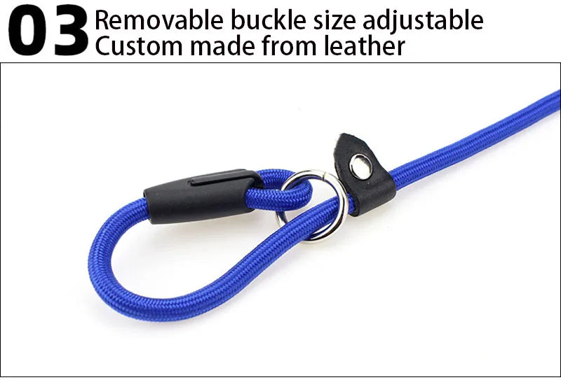 Adjustable Nylon Dog Leash – Training Lead & Harness Strap