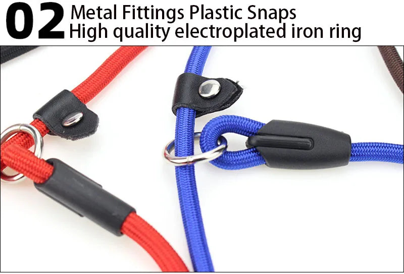 Adjustable Nylon Dog Leash – Training Lead & Harness Strap