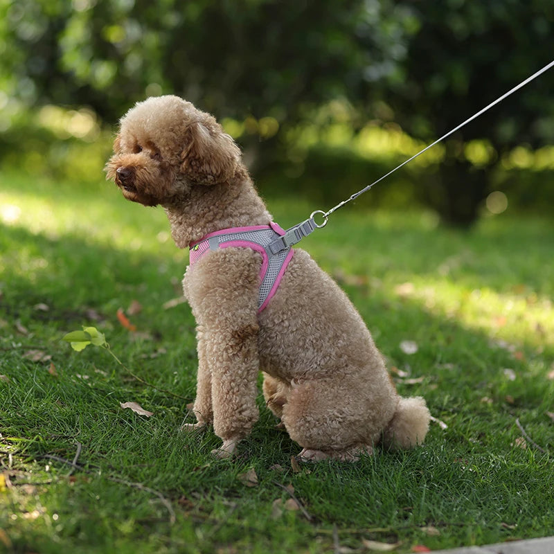 Dog Harness & Leash Set – Adjustable Vest for Small Dogs & Cats