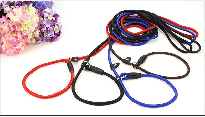 Adjustable Nylon Dog Leash – Training Lead & Harness Strap