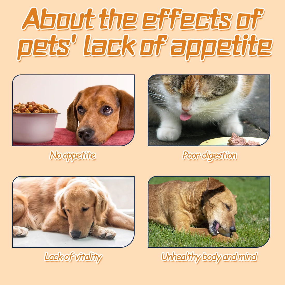 YEGBONG Pet Vitality Drops – Multivitamin Supplement for Cats & Dogs