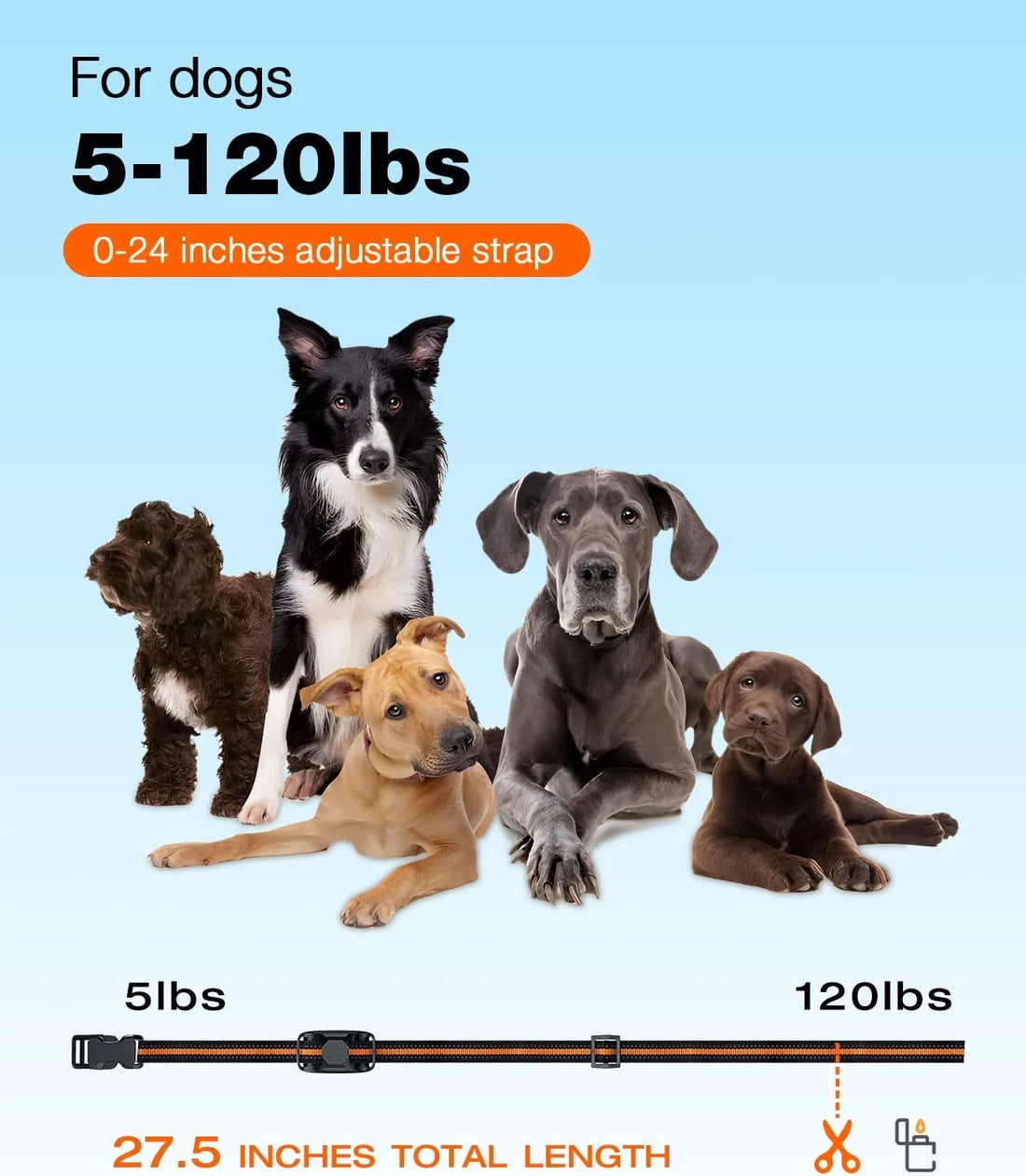 1000M Remote Dog Training Collar