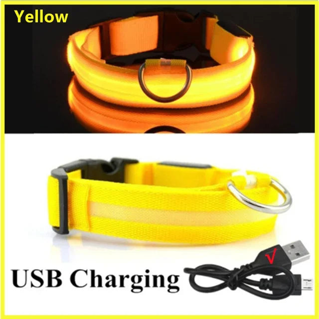 LED Glowing Dog Collar – Adjustable Flashing Night Safety