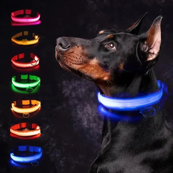 LED Glowing Dog Collar – Adjustable Flashing Night Safety