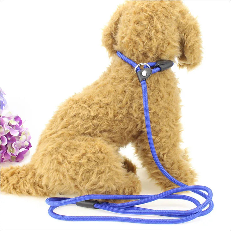 Adjustable Nylon Dog Leash – Training Lead & Harness Strap