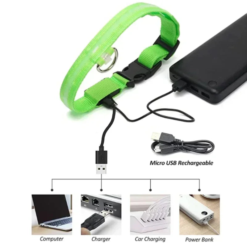 LED Glowing Dog Collar – Adjustable Flashing Night Safety