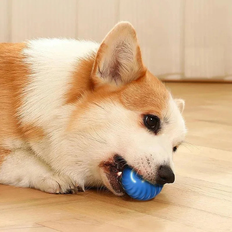 Smart Electronic Dog & Cat Toy Ball – Automatic Moving & Bouncing