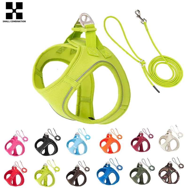 Reflective Dog Harness & Leash Set