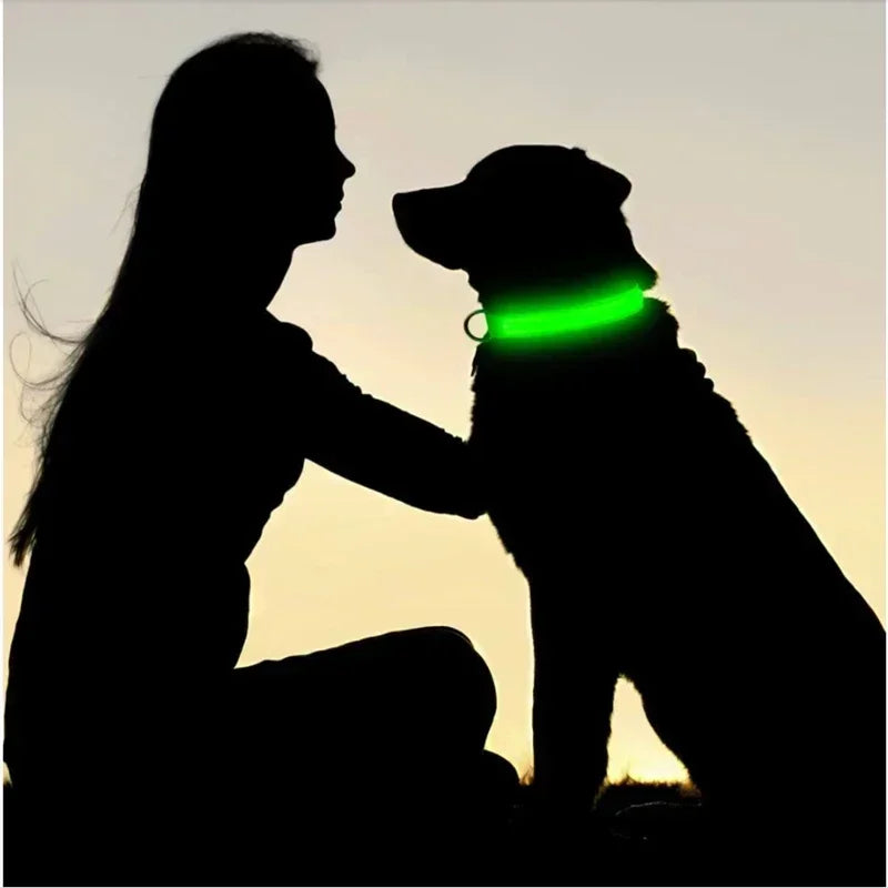LED Glowing Dog Collar – Rechargeable Flashing Night Safety