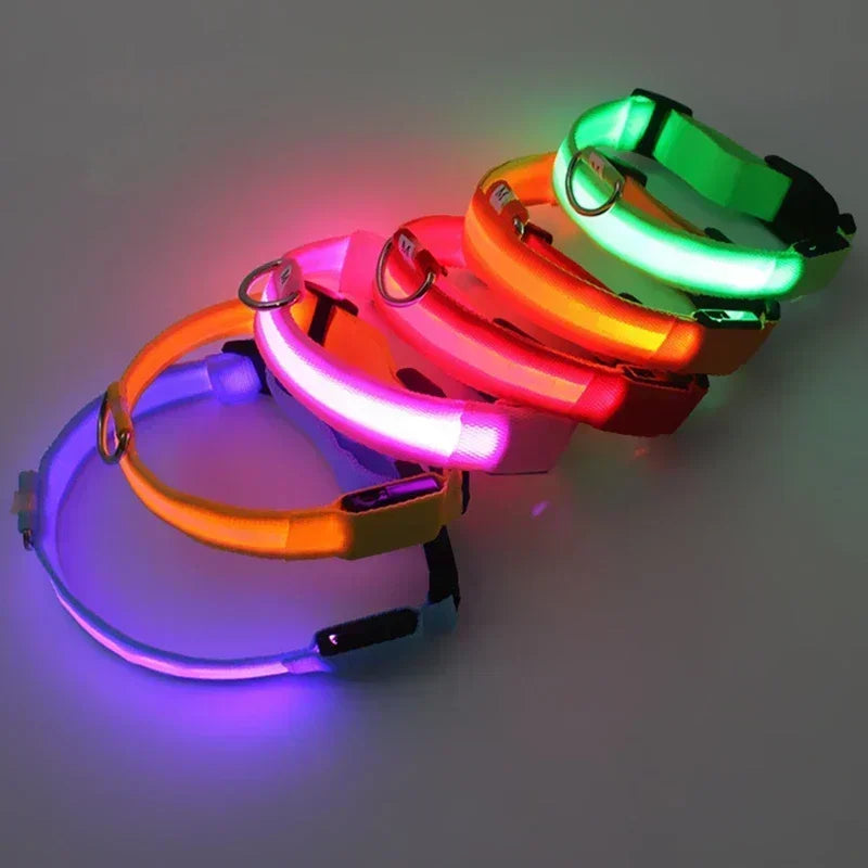 LED Glowing Dog Collar – Adjustable Flashing Night Safety