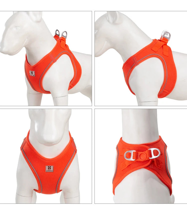 Reflective Dog Harness & Leash Set