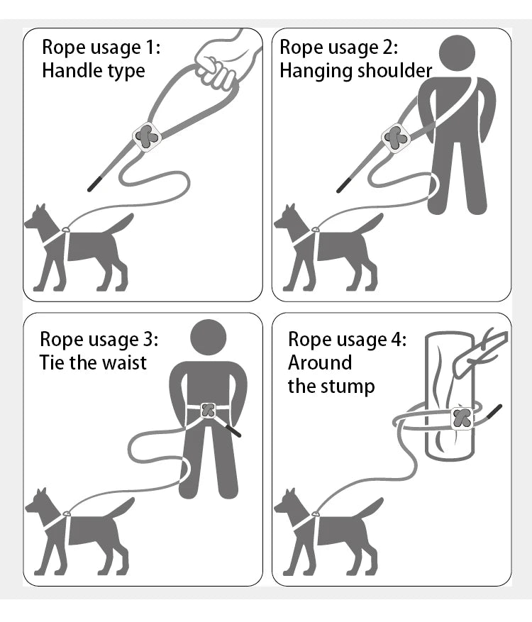 Reflective Dog Harness & Leash Set