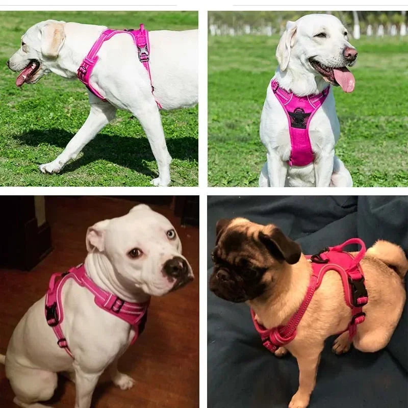 Reflective Adjustable Dog & Cat Harness