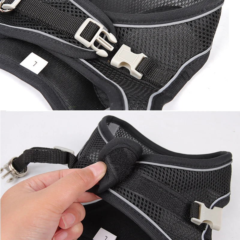 Dog Harness & Leash Set – Adjustable Vest for Small Dogs & Cats
