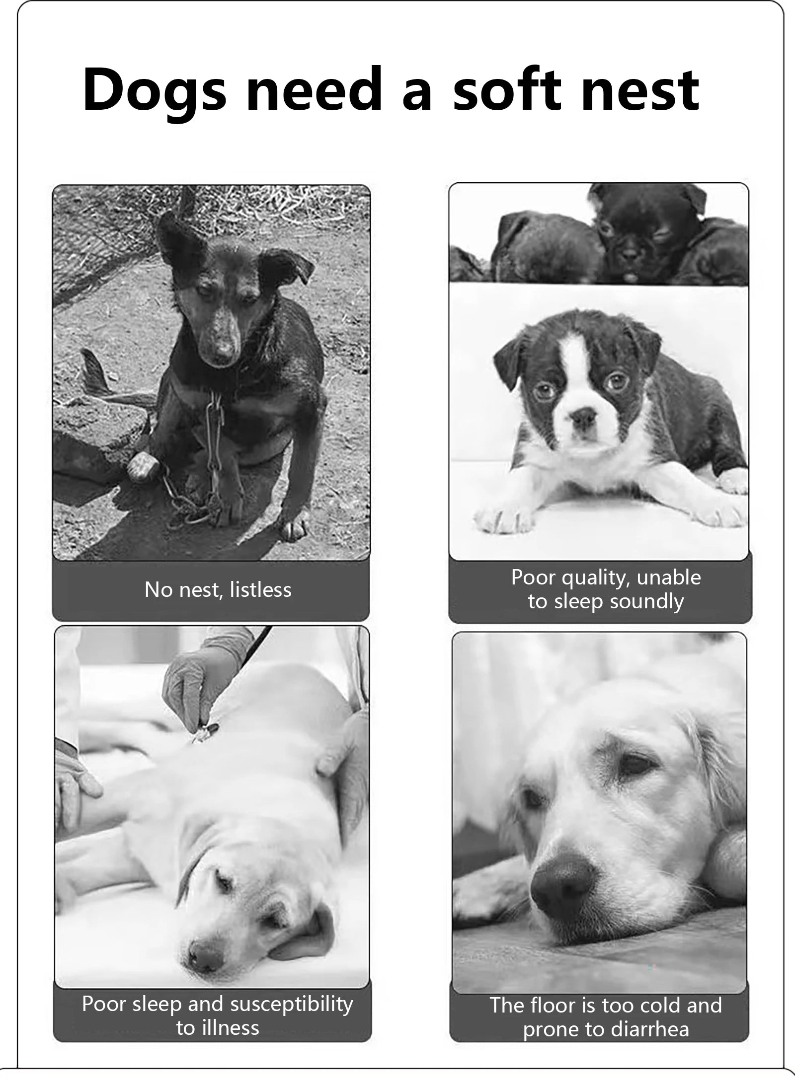 Waterproof Dog Bed – 600D Oxford with Thick PP Cotton Filling