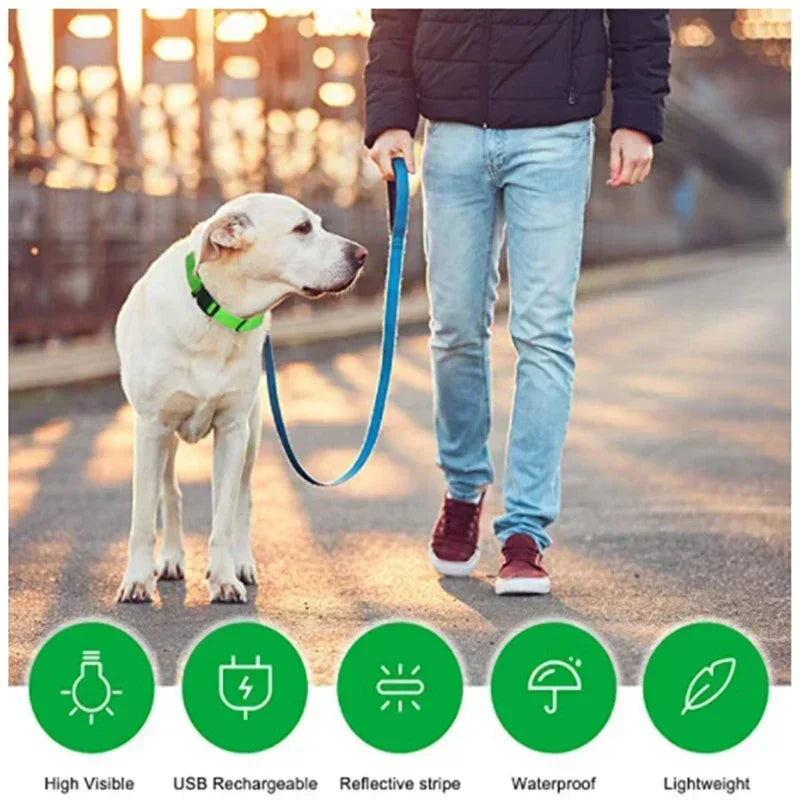 LED Glowing Dog Collar – Adjustable Flashing Night Safety
