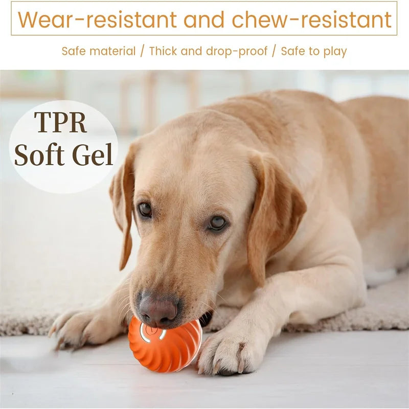 Smart Electronic Dog & Cat Toy Ball – Automatic Moving & Bouncing