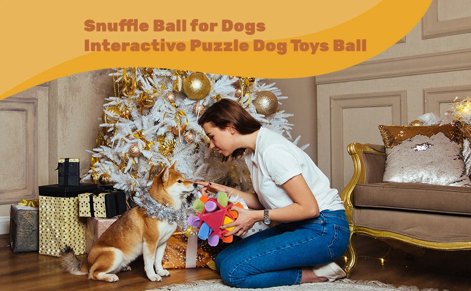 Dog Sniffing Ball – Interactive Chew & Training Toy