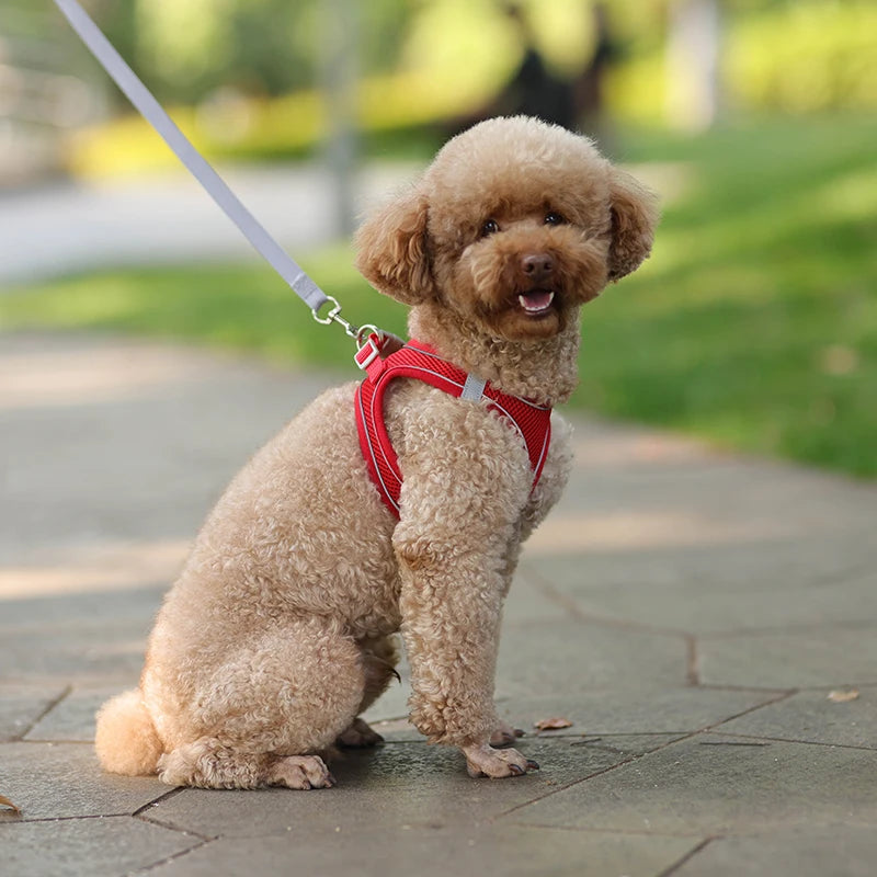 Dog Harness & Leash Set – Adjustable Vest for Small Dogs & Cats