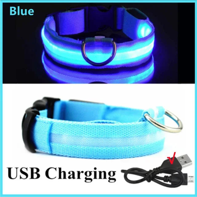 LED Glowing Dog Collar – Rechargeable Flashing Night Safety