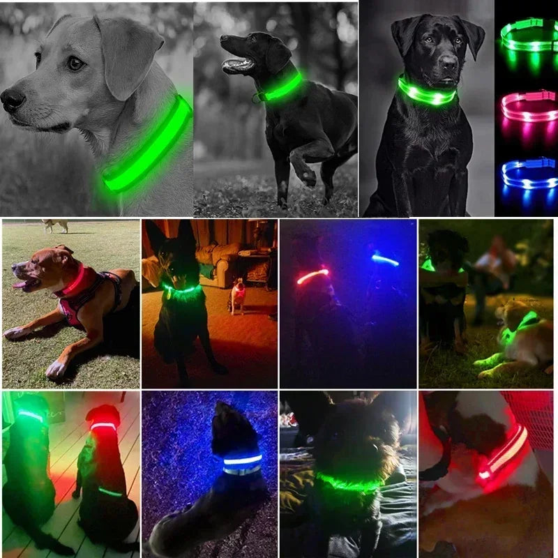 LED Glowing Dog Collar – Adjustable Flashing Night Safety