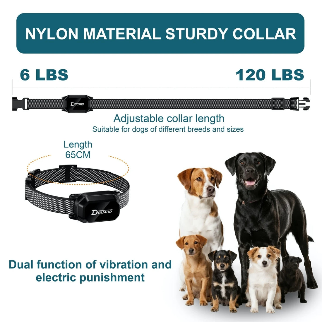 800m Digital Dog Training Collar – Waterproof Remote with LCD